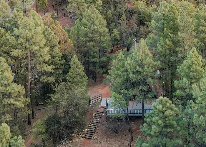 Modern Luxurious A-frame - Playground Pine